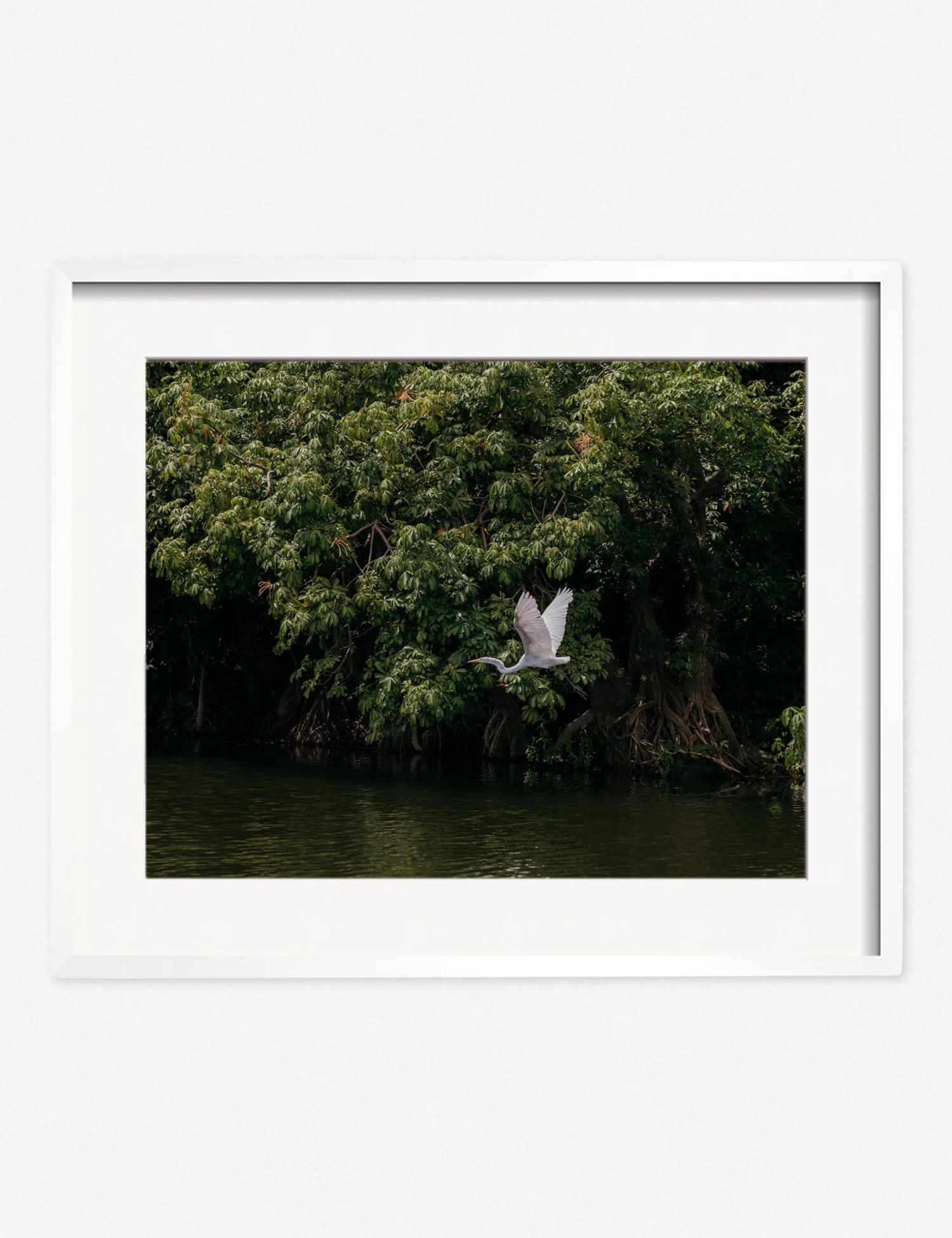 Lulu And Georgia Mossy Greens 'Lake Nicaragua' Photography Print By Carley Rudd 7 Lulu And Georgia Mossy Greens 'Lake Nicaragua' Photography Print By Carley Rudd