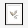 Lulu And Georgia Muted Pastels 'Faded Leaves' Print By Céline Nordenhed 1 Lulu And Georgia Muted Pastels 'Faded Leaves' Print By Céline Nordenhed