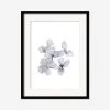 Lulu And Georgia 'Frozen Leaves' Print By Céline Nordenhed Muted Pastels