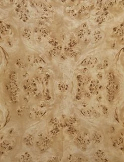 Lulu And Georgia Chloe Burl Wood Side Table New 20 Lulu And Georgia Chloe Burl Wood Side Table New