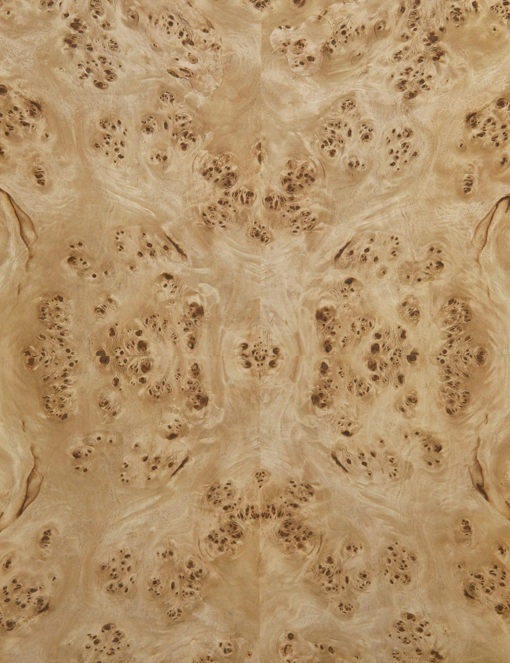 Lulu And Georgia Chloe Burl Wood Side Table New 11 Lulu And Georgia Chloe Burl Wood Side Table New