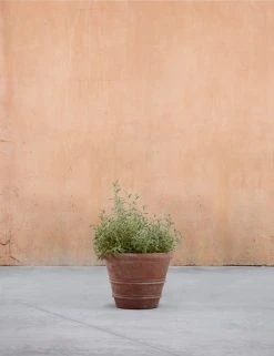 Lulu And Georgia Classic Rolled Rim Planter By Campania International