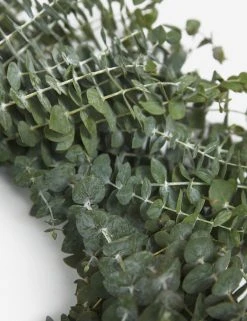 Lulu And Georgia Fresh Handmade Baby Blue Eucalyptus Wreath Mossy Greens