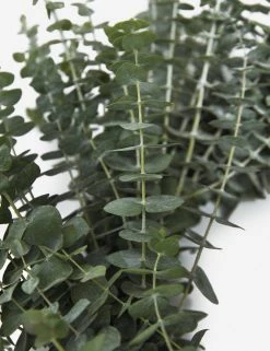 Lulu And Georgia Fresh Handmade Baby Blue Eucalyptus Wreath Mossy Greens 7 Lulu And Georgia Fresh Handmade Baby Blue Eucalyptus Wreath Mossy Greens