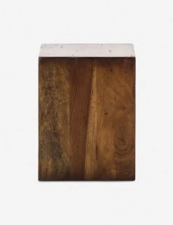 Lulu And Georgia Earth Tones Arturo Side Table