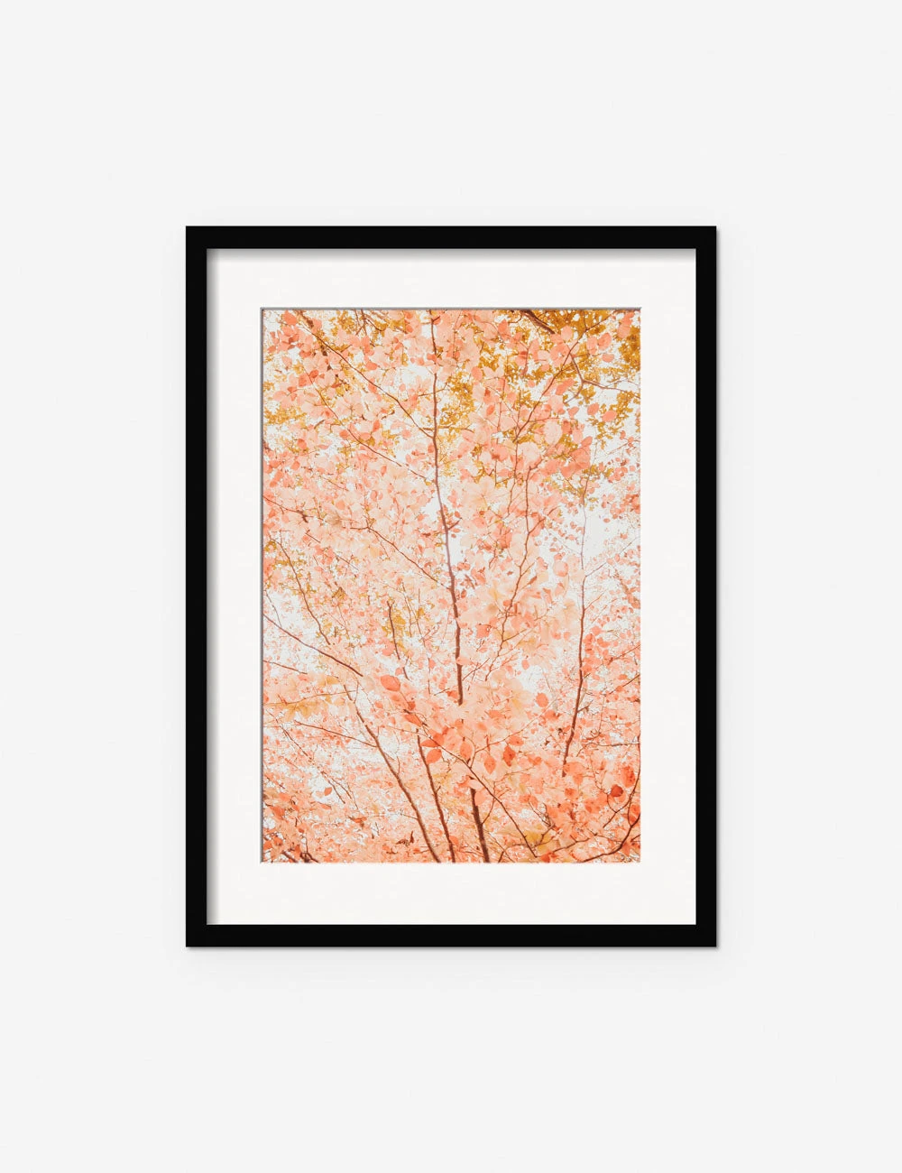 Lulu And Georgia New 'Pastel Fall Tree' Photography Print By Ingrid Beddoes 3 Lulu And Georgia New 'Pastel Fall Tree' Photography Print By Ingrid Beddoes