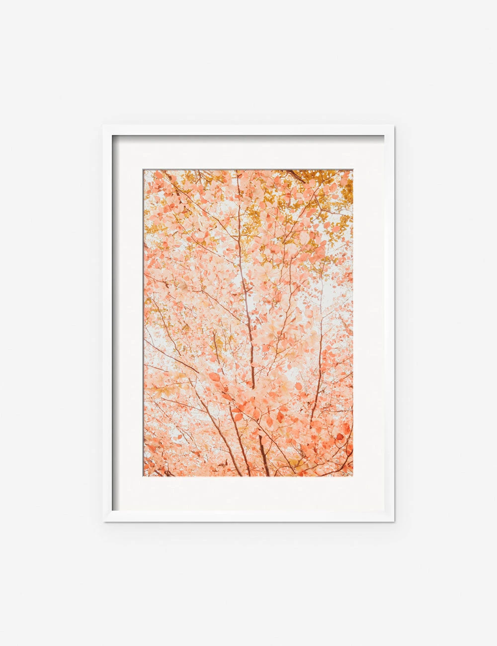 Lulu And Georgia New 'Pastel Fall Tree' Photography Print By Ingrid Beddoes 8 Lulu And Georgia New 'Pastel Fall Tree' Photography Print By Ingrid Beddoes