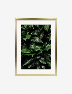 Lulu And Georgia Mossy Greens 'Still Life 7' Photography Print By Ashley Johnson