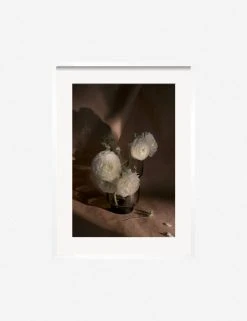 Lulu And Georgia Earth Tones 'Still Life 21' Photography Print By Ashley Johnson 13 Lulu And Georgia Earth Tones 'Still Life 21' Photography Print By Ashley Johnson