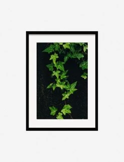 Lulu And Georgia Mossy Greens 'Still Life 15' Photography Print By Ashley Johnson