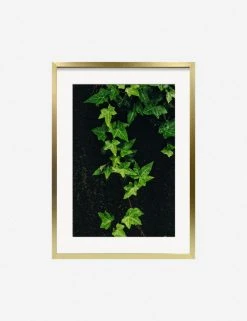 Lulu And Georgia Mossy Greens 'Still Life 15' Photography Print By Ashley Johnson