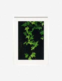 Lulu And Georgia Mossy Greens 'Still Life 15' Photography Print By Ashley Johnson