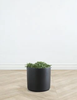 Lulu And Georgia LBE Design Ceramic Planter Décor 28 Lulu And Georgia LBE Design Ceramic Planter Décor