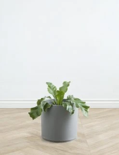 Lulu And Georgia LBE Design Ceramic Planter Décor 35 Lulu And Georgia LBE Design Ceramic Planter Décor