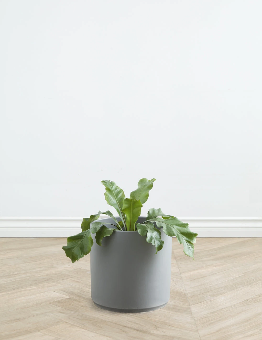 Lulu And Georgia LBE Design Ceramic Planter Décor 14 Lulu And Georgia LBE Design Ceramic Planter Décor