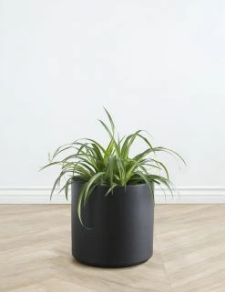 Lulu And Georgia LBE Design Ceramic Planter Décor 27 Lulu And Georgia LBE Design Ceramic Planter Décor