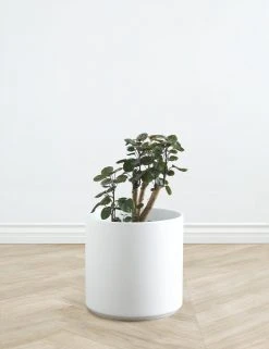 Lulu And Georgia LBE Design Ceramic Planter Décor 39 Lulu And Georgia LBE Design Ceramic Planter Décor