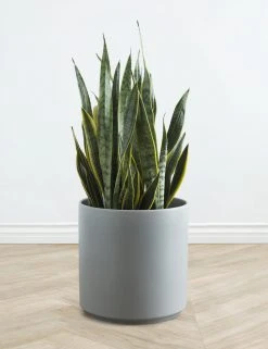 Lulu And Georgia LBE Design Ceramic Planter Décor 33 Lulu And Georgia LBE Design Ceramic Planter Décor