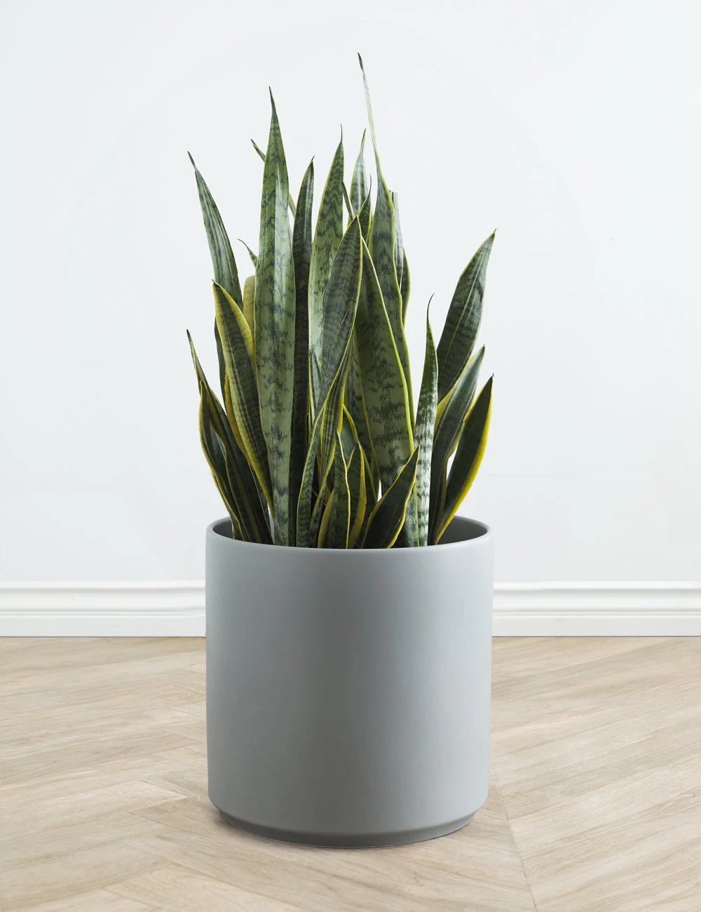 Lulu And Georgia LBE Design Ceramic Planter Décor 12 Lulu And Georgia LBE Design Ceramic Planter Décor