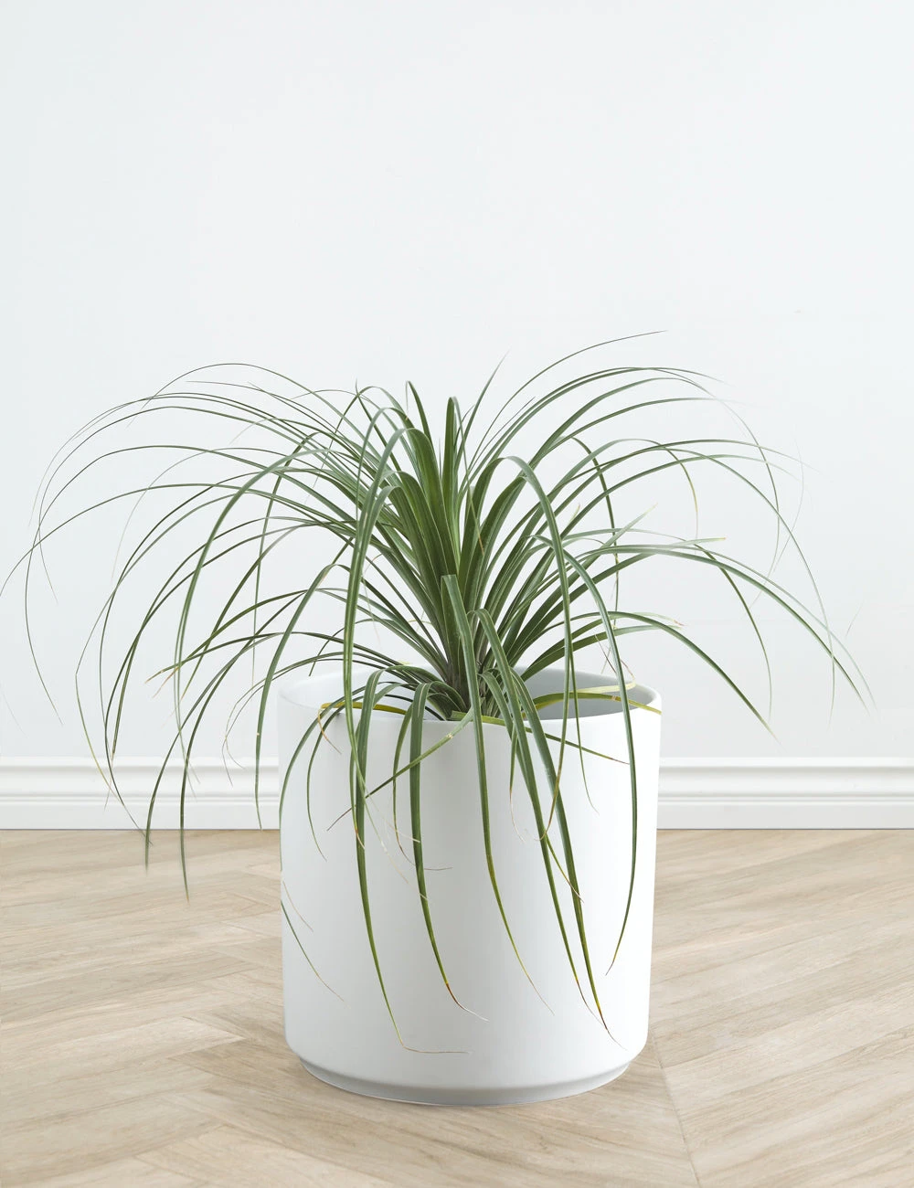 Lulu And Georgia LBE Design Ceramic Planter Décor 17 Lulu And Georgia LBE Design Ceramic Planter Décor