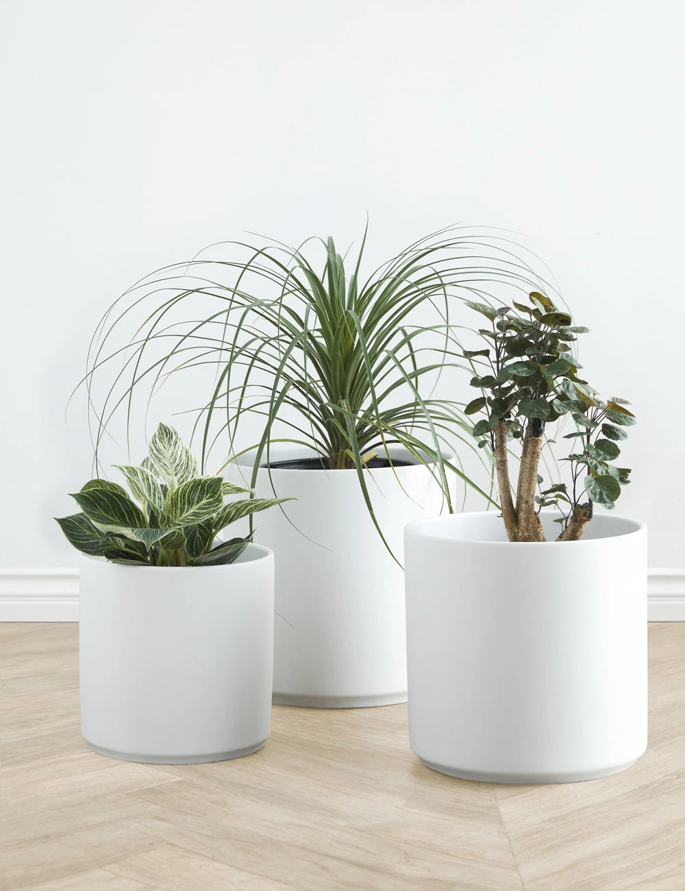 Lulu And Georgia LBE Design Ceramic Planter Décor 4 Lulu And Georgia LBE Design Ceramic Planter Décor