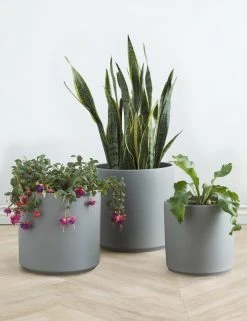 Lulu And Georgia LBE Design Ceramic Planter Décor