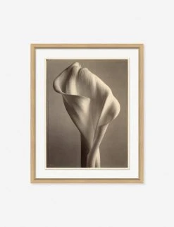 Lulu And Georgia 'Sepia Flowers' Wall Art Earth Tones