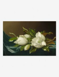 Lulu And Georgia 'Magnolias On Light Blue Velvet Cloth' Print By Martin Johnson Heade Walls