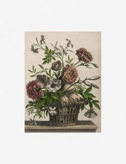 Lulu And Georgia Walls 'Marigolds, Single Anemone, Jasmine' Print By Jean-Baptiste Monnoyer