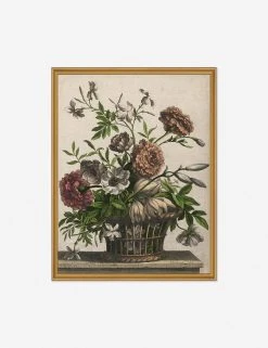 Lulu And Georgia Walls 'Marigolds, Single Anemone, Jasmine' Print By Jean-Baptiste Monnoyer