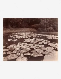 Lulu And Georgia 'Nymphéas (Bagatelle)' Print By Eugène Atget Earth Tones