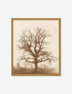 Lulu And Georgia Earth Tones 'Oak Tree' Print By William Henry Fox Talbot