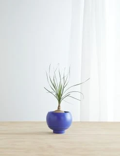 Lulu And Georgia Sutton Self-Watering Planter By Greenery Unlimited New