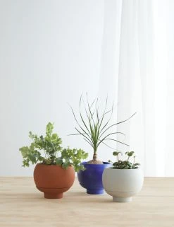 Lulu And Georgia Sutton Self-Watering Planter By Greenery Unlimited
