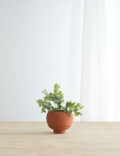 Lulu And Georgia Sutton Self-Watering Planter By Greenery Unlimited