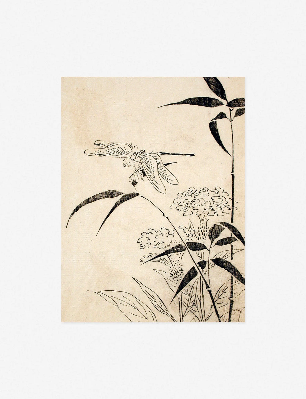 Lulu And Georgia 'Dragonfly, Coxcomb And Bamboo' Print By Miyazaki Yūzen 4 Lulu And Georgia 'Dragonfly, Coxcomb And Bamboo' Print By Miyazaki Yūzen