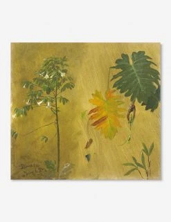 Lulu And Georgia Botanical Study, Jamaica' Print By Frederic Edwin Church 7 Lulu And Georgia Botanical Study, Jamaica' Print By Frederic Edwin Church