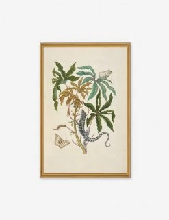 Lulu And Georgia 'Cassava With White Peacock Butterfly And Young Golden Tegu' Wall Art By Maria Sibylla Merian, Original Work Held By The J. Paul Getty Museum