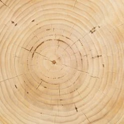 Lulu And Georgia Solaro Side Table Curved + Rounded 13 Lulu And Georgia Solaro Side Table Curved + Rounded