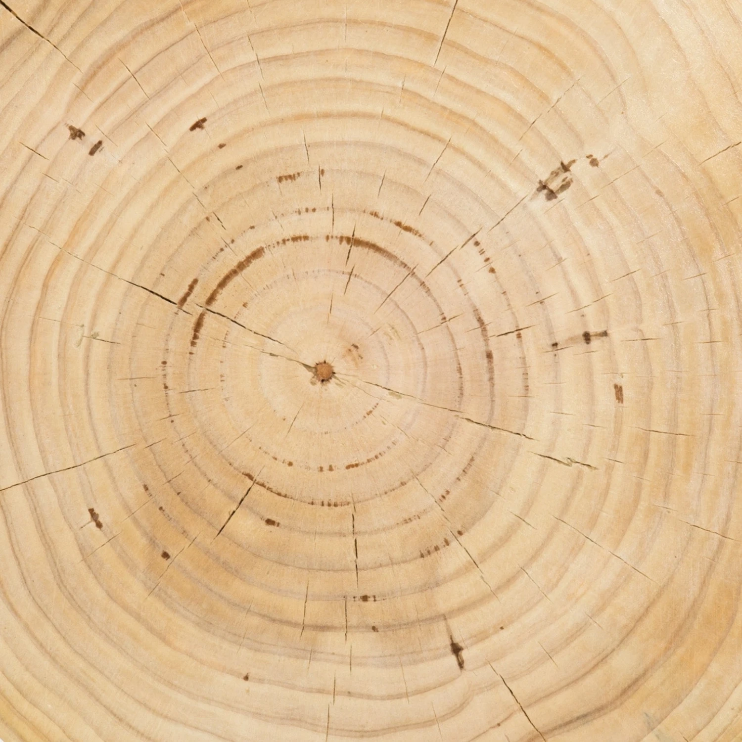 Lulu And Georgia Solaro Side Table Curved + Rounded 8 Lulu And Georgia Solaro Side Table Curved + Rounded