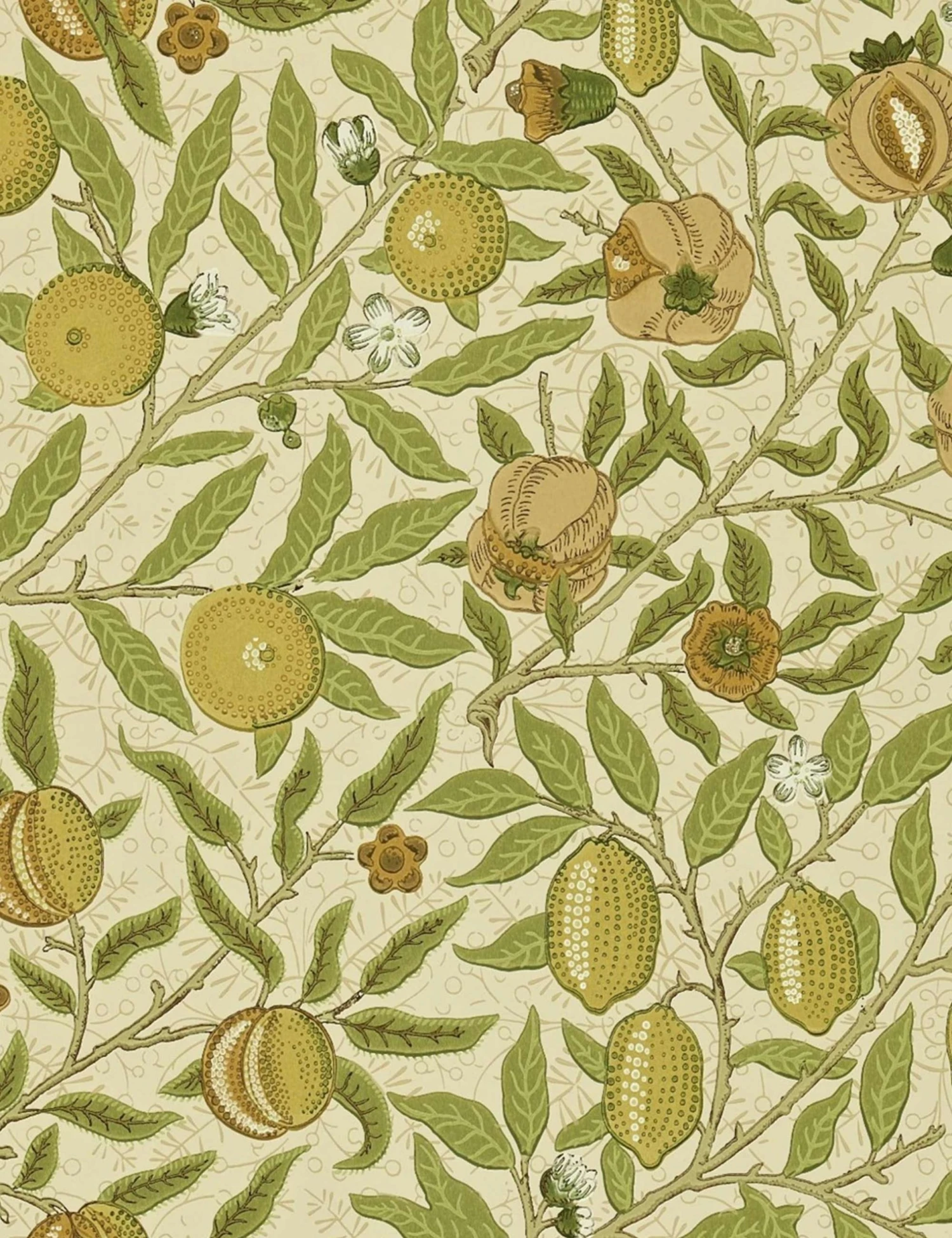 Lulu And Georgia Morris & Co. Fruit Wallpaper, Lime Green Tan Swatch 3 Lulu And Georgia Morris & Co. Fruit Wallpaper, Lime Green Tan Swatch