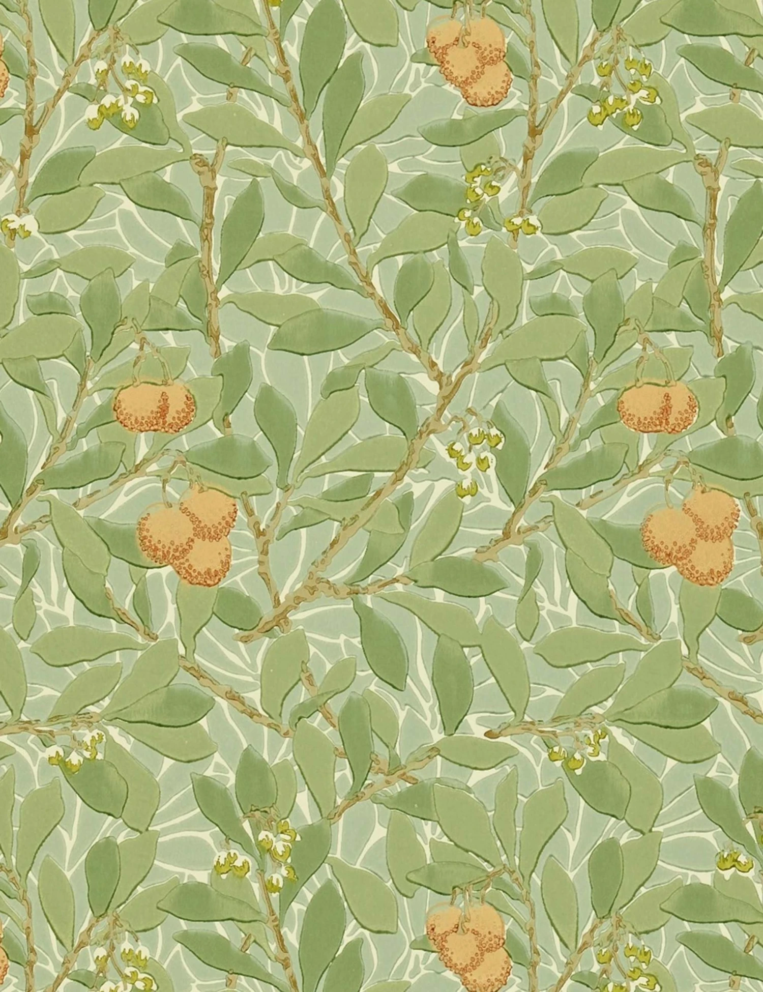 Lulu And Georgia Walls Morris & Co. Arbutus Wallpaper 4 Lulu And Georgia Walls Morris & Co. Arbutus Wallpaper