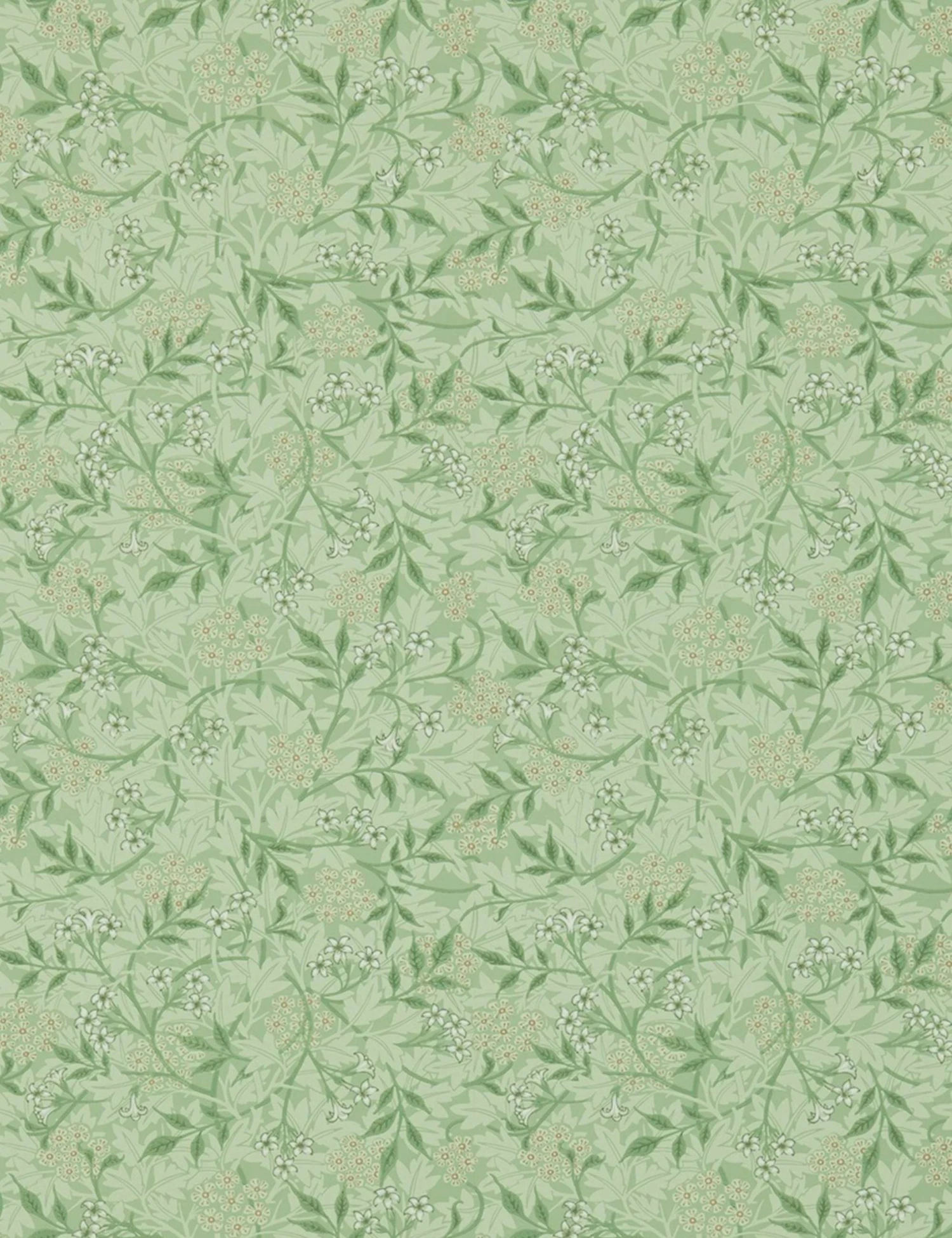 Lulu And Georgia Morris & Co. Jasmine Wallpaper, Sage/Leaf Swatch 3 Lulu And Georgia Morris & Co. Jasmine Wallpaper, Sage/Leaf Swatch