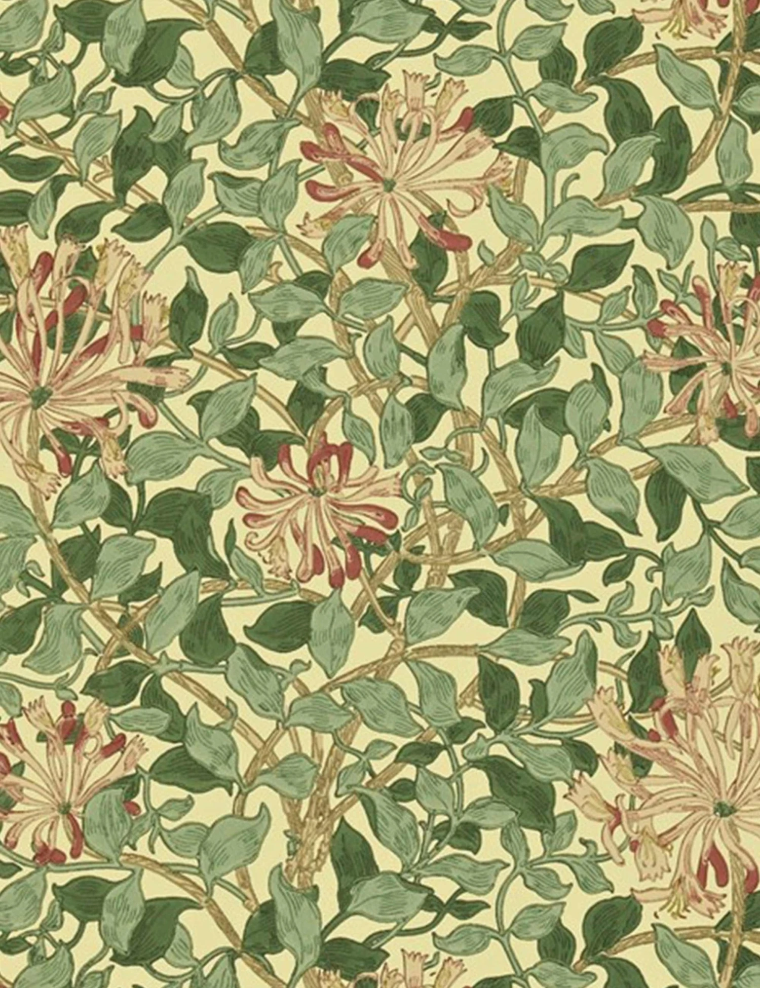 Lulu And Georgia Morris & Co. Honey Suckle Wallpaper, Green Coral Pink Swatch 3 Lulu And Georgia Morris & Co. Honey Suckle Wallpaper, Green Coral Pink Swatch