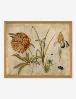 Lulu And Georgia Walls 'Flowers And Beetles' Wall Art By Hans Hoffman Gold, Original Work Held By The J. Paul Getty Museum