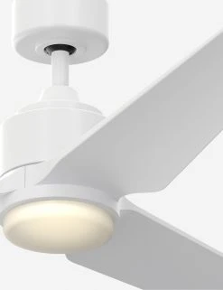 Lulu And Georgia Aurore Ceiling Fan + Light Outdoor Collection
