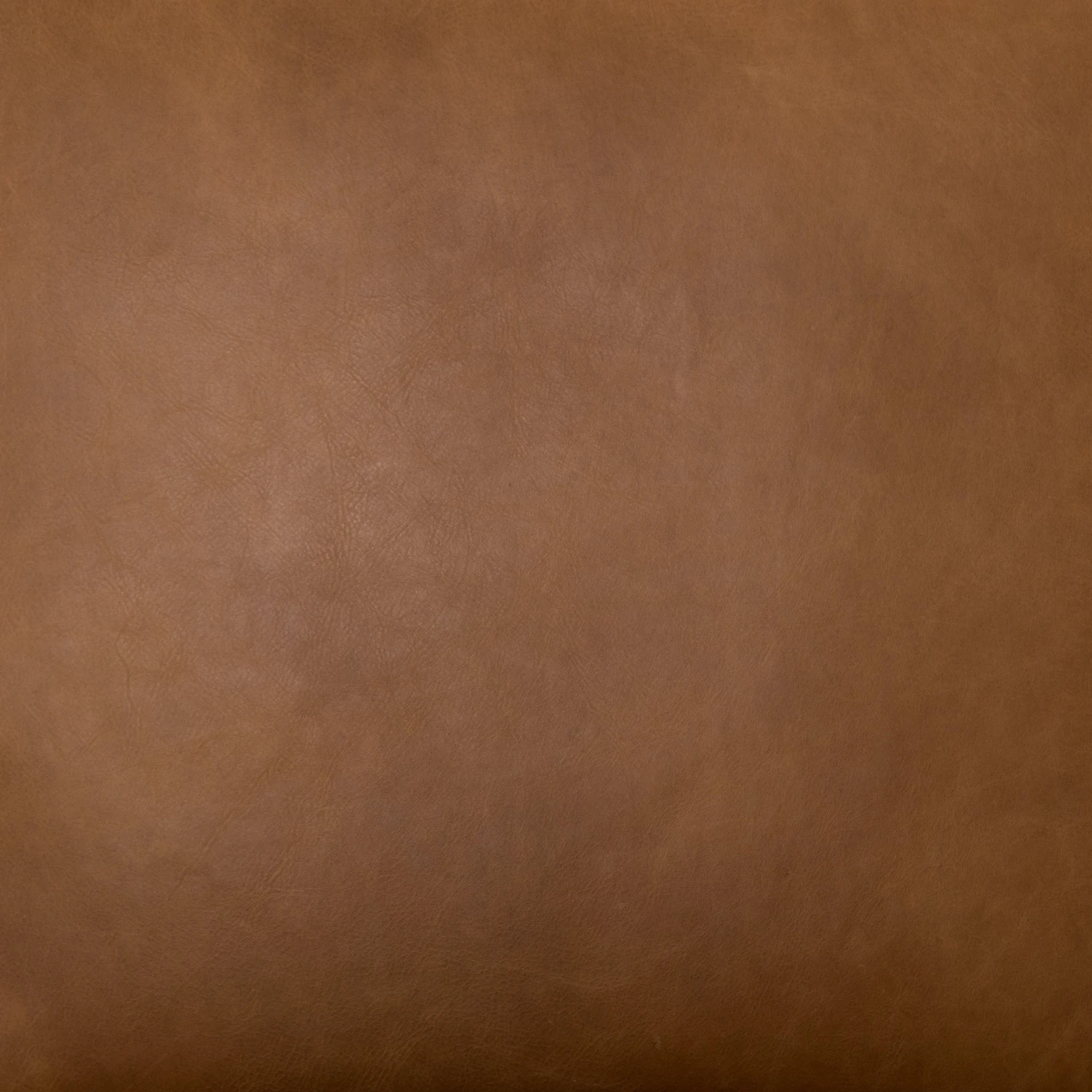 Lulu And Georgia Furniture Kenneth Leather Chair 16 Lulu And Georgia Furniture Kenneth Leather Chair