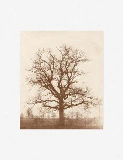 Lulu And Georgia Earth Tones 'Oak Tree' Print By William Henry Fox Talbot