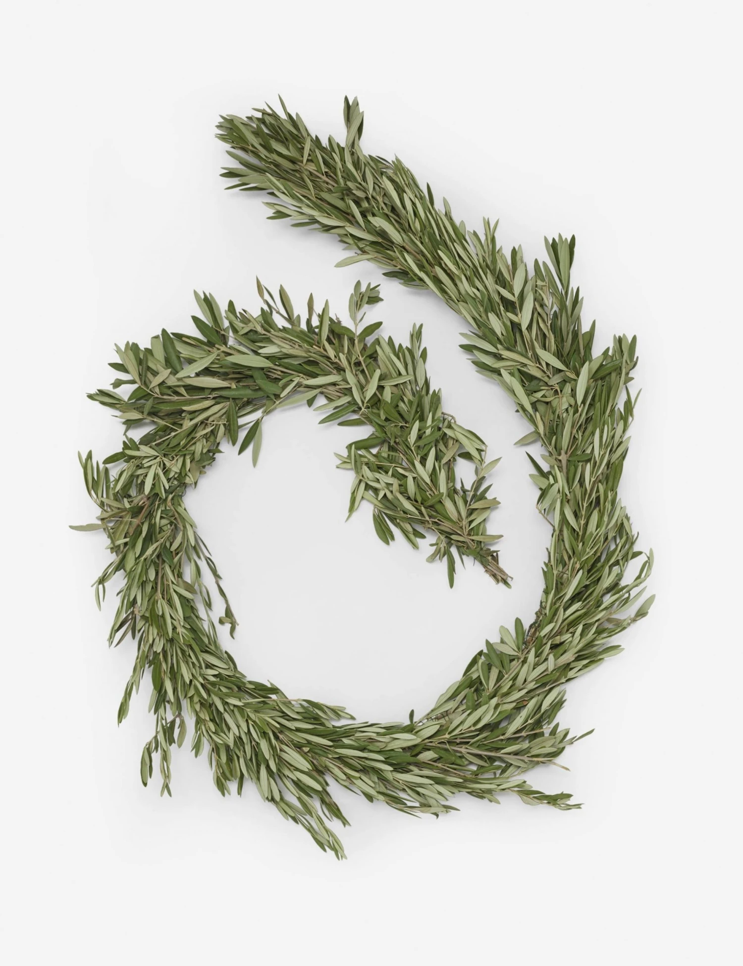 Lulu And Georgia Décor Fresh Handmade Olive Branch Garland 6 Lulu And Georgia Décor Fresh Handmade Olive Branch Garland