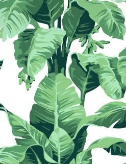 Lulu And Georgia Pacifico Palm Peel + Stick Wallpaper By Nathan Turner